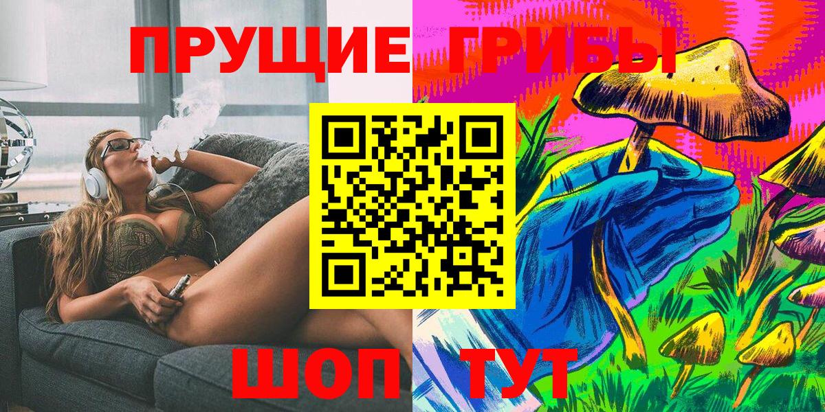 Галлюциногенные грибы Psilocybe  Псилоцибиновые грибы Psilocybine cubensis  Обь  Вход с VPN 